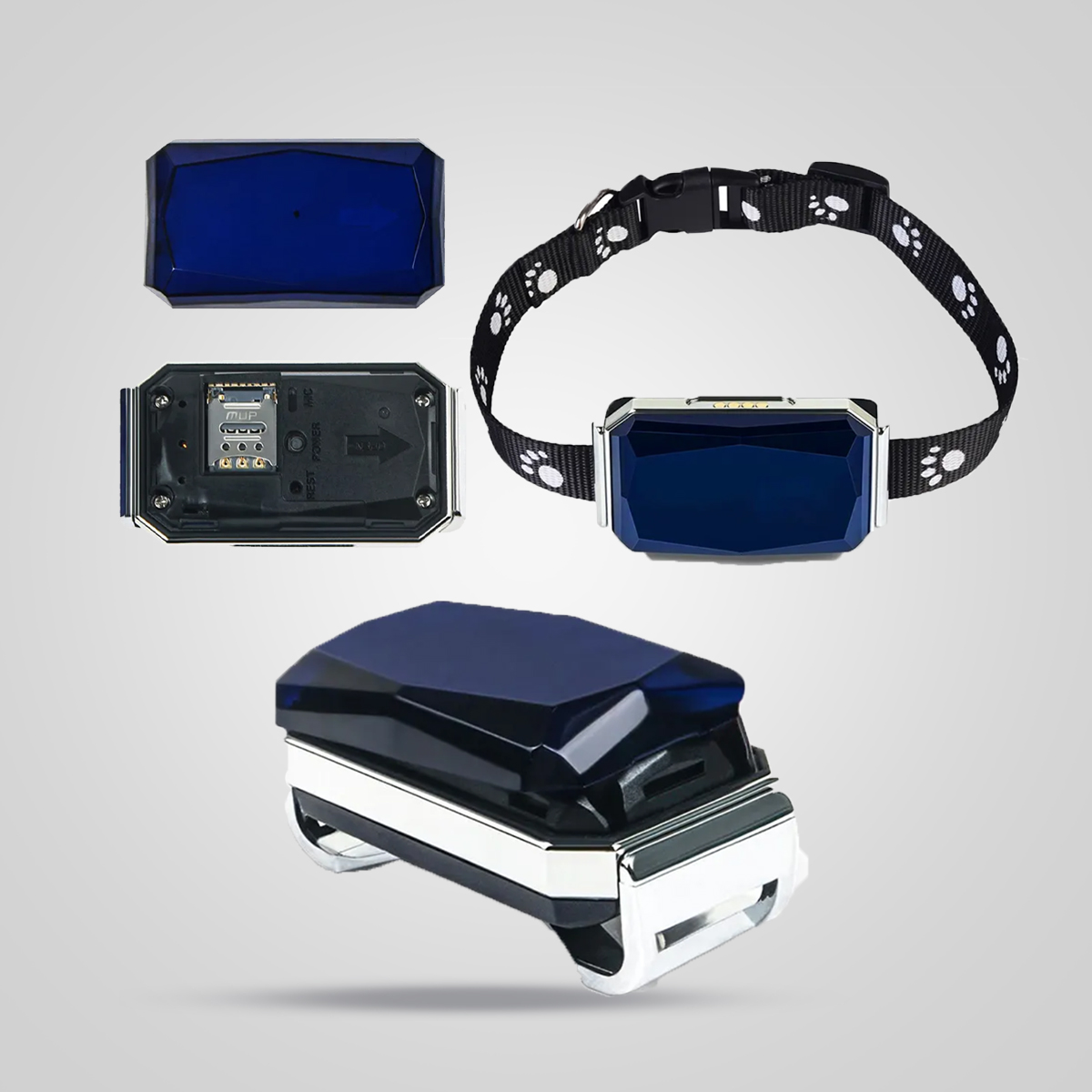 Pet Tracker - Blue Colour